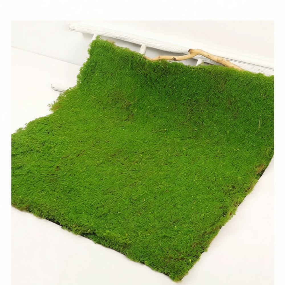 Искусственный газон из имитаци – обзор и цена Preserved Moss Sheet
